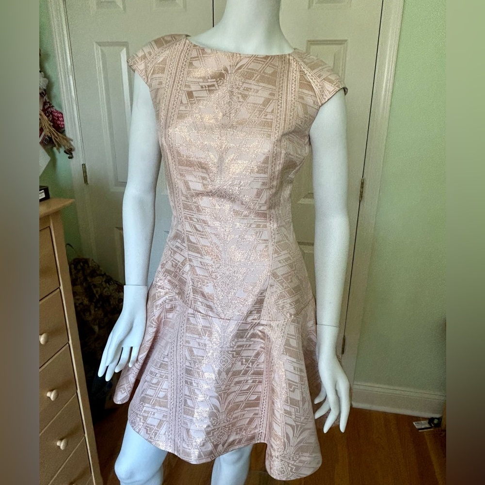 NWT Ted Baker Womens Sarah Dress Nude Metallic Fit Flare Ted Size 1 / US Size 4